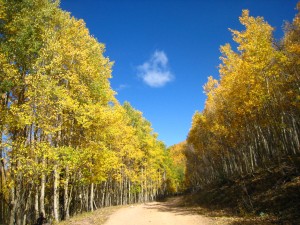 Aspen Vista