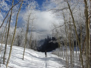 Norski Trail