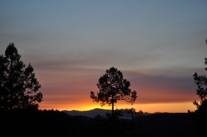 Sunset Pinz