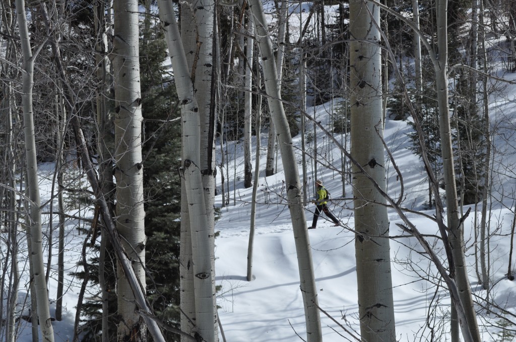 Snowshoeing, Santa Fe, NM
