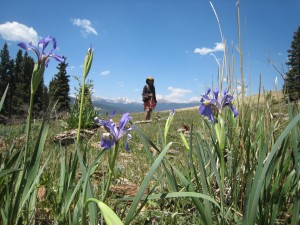 The Pecos Wilderness - Santa Fe Hiking The Pecos Wilderness